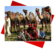 Rajasthan Tour